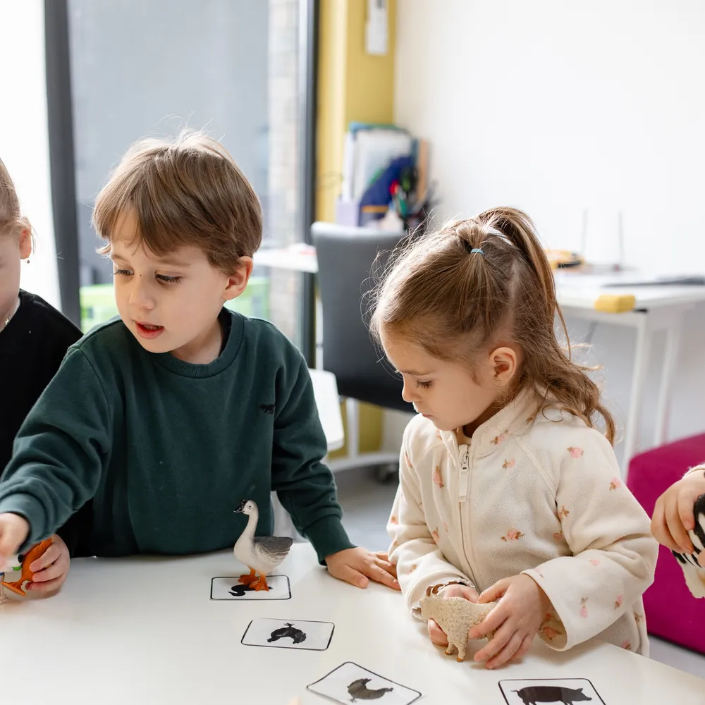 Mini Academy — галерея